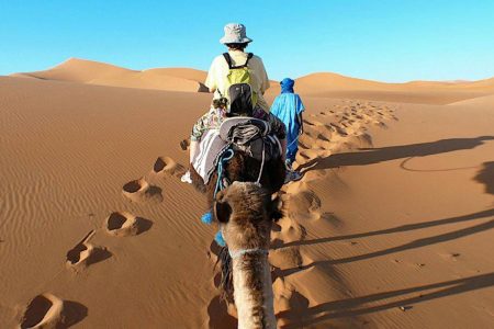 Enchanted Moroccan Journey