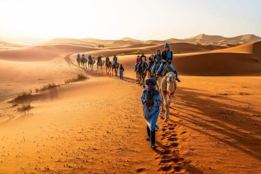 Camel Ride