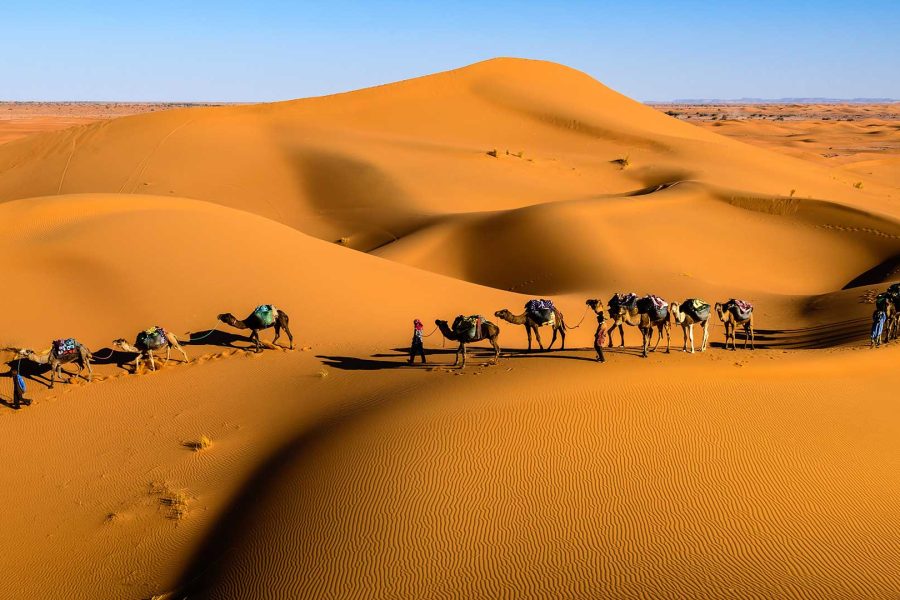Marrakech to Merzouga Desert